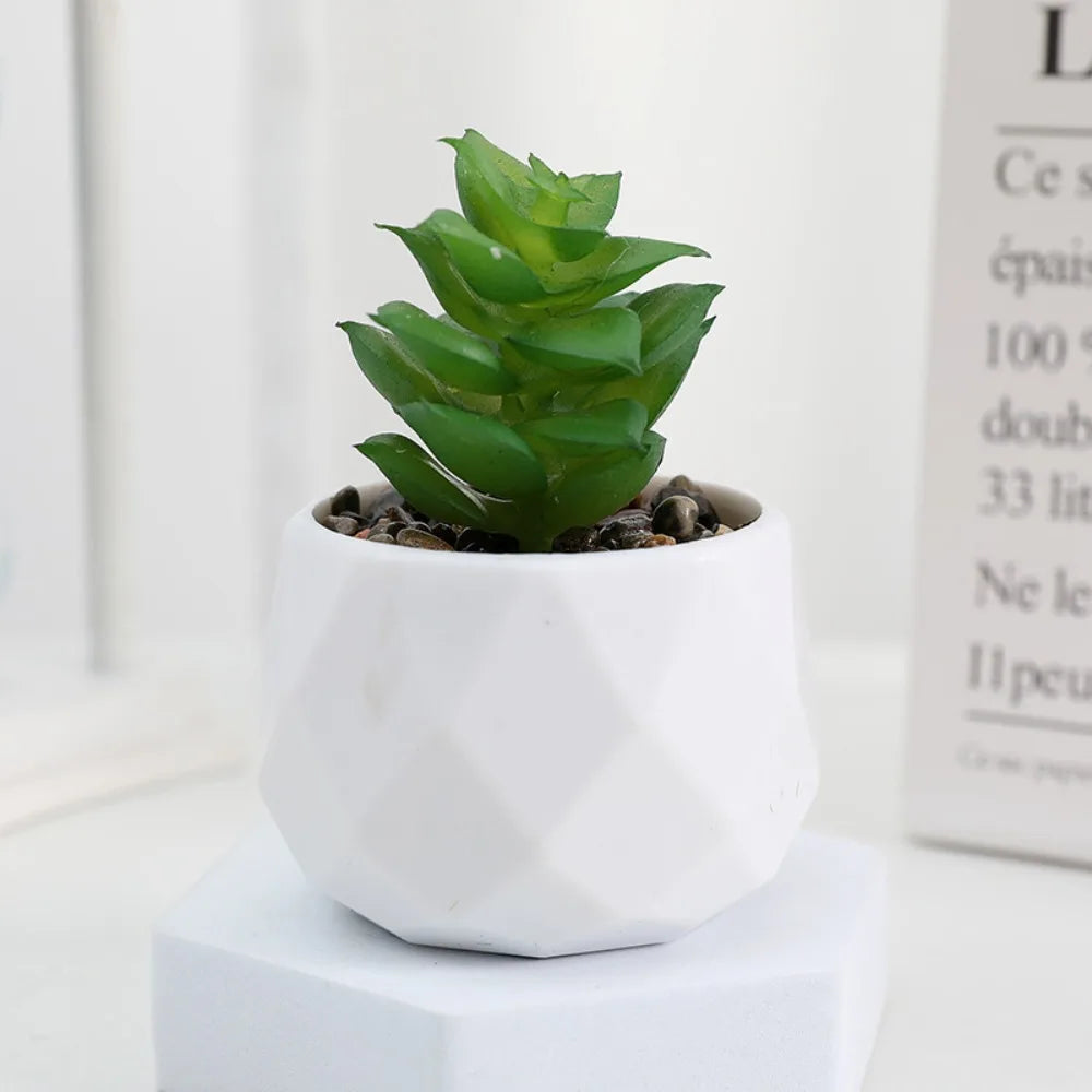 amazon small succulent pots Mini Artificial Bonsai Cactus