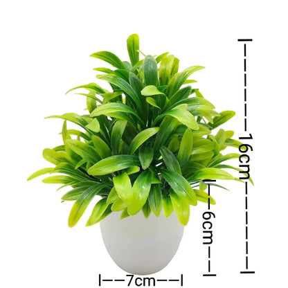 Plants with Plastics Pots - Office Desk Living Room and Bedroom Decoration Table Piece
