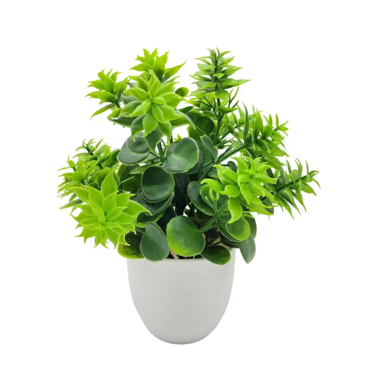 Plants with Plastics Pots - Office Desk Living Room and Bedroom Decoration Table Piece