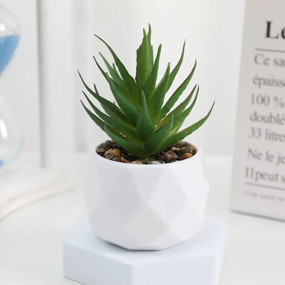 superfly bonsai succulent and cactus Mini Artificial Bonsai Cactus