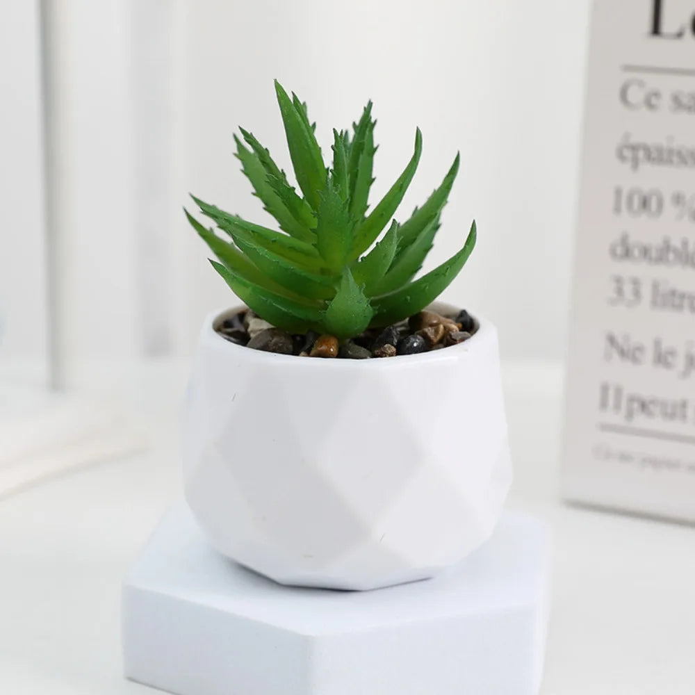 mini cactus succulent Mini Artificial Bonsai Cactus
