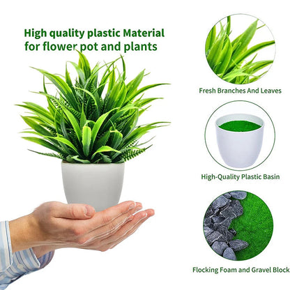 Plants with Plastics Pots - Office Desk Living Room and Bedroom Decoration Table Piece