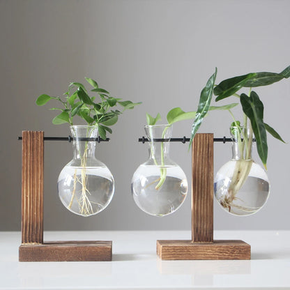Creative Glass Plant Bulb Vase Table Decor - Table Piece