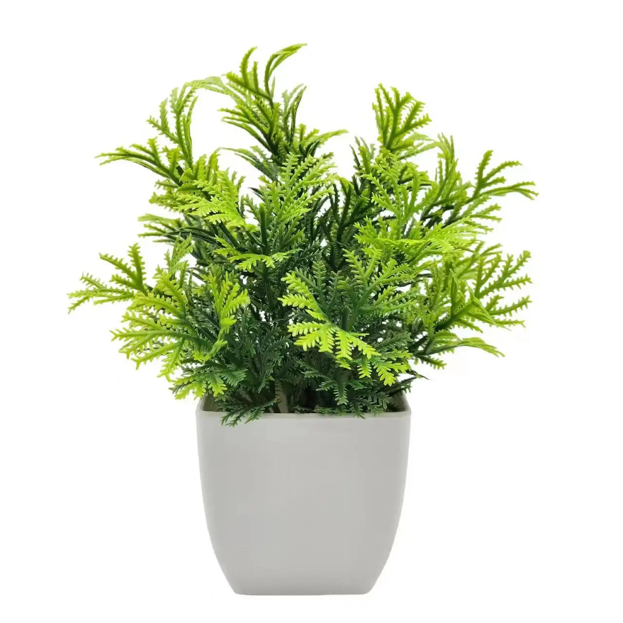 Plants with Plastics Pots - Office Desk Living Room and Bedroom Decoration Table Piece