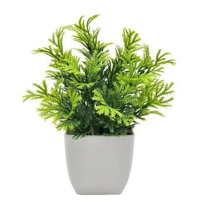 Plants with Plastics Pots - Office Desk Living Room and Bedroom Decoration Table Piece