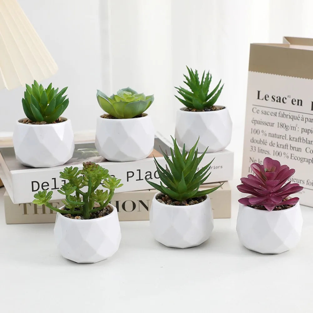 small faux succulents Mini Artificial Bonsai Cactus