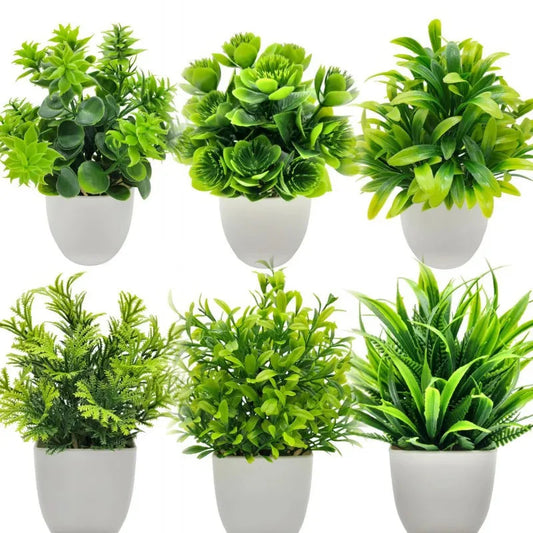 Plants with Plastics Pots - Office Desk Living Room and Bedroom Decoration Table Piece