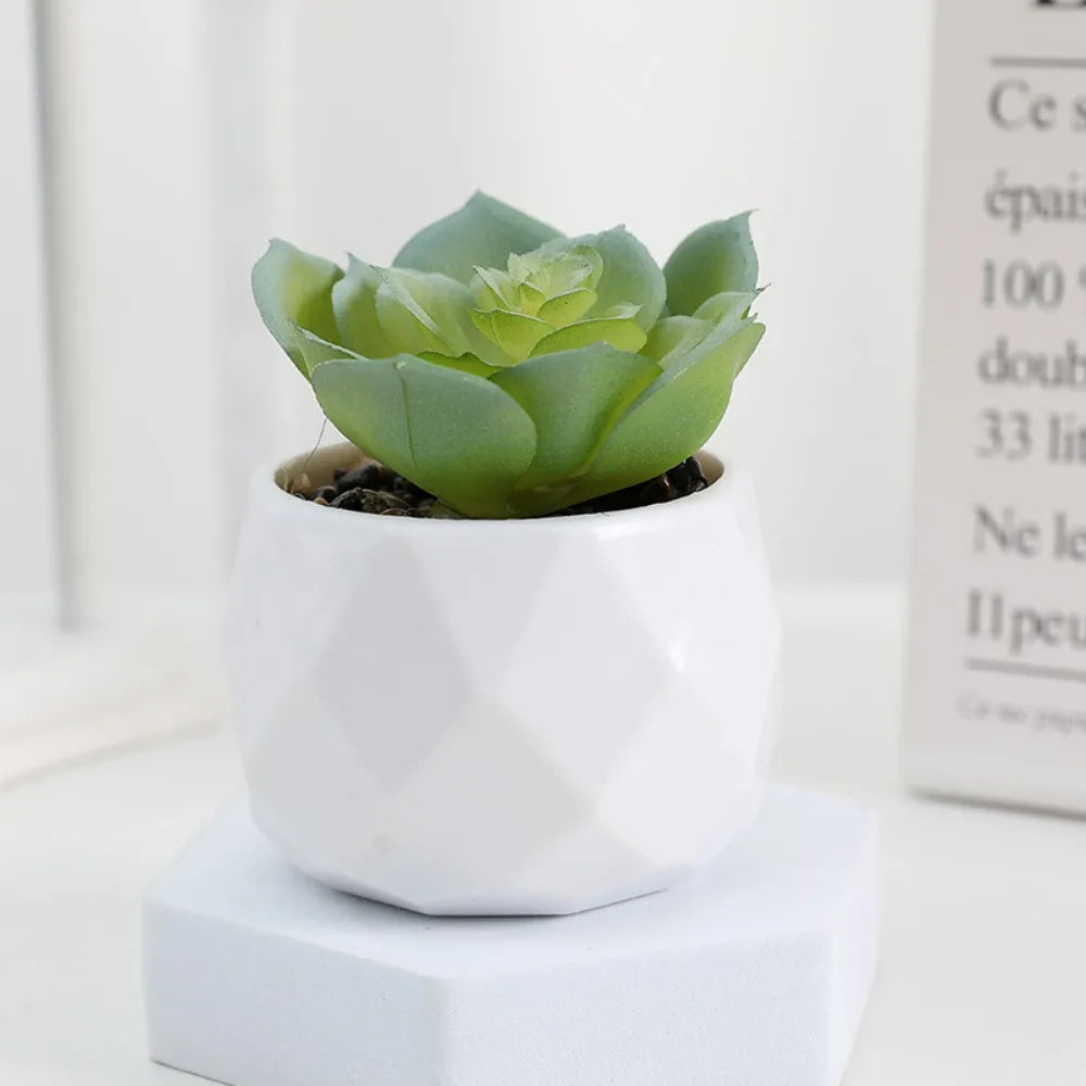 succulent plastic plants Mini Artificial Bonsai Cactus