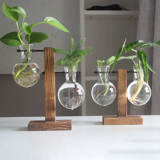 Creative Glass Plant Bulb Vase Table Decor - Table Piece